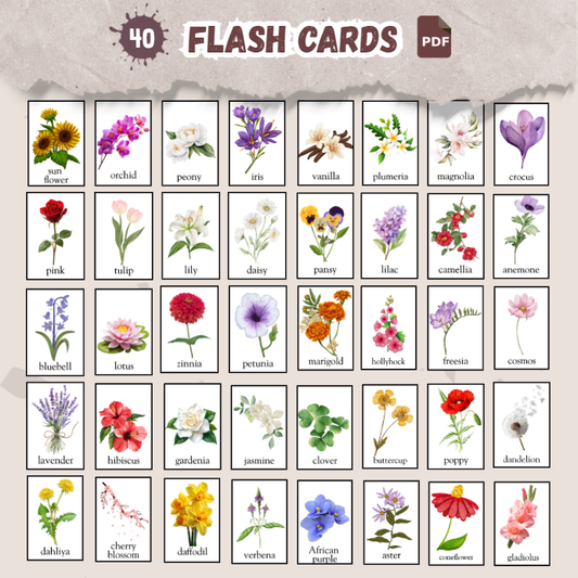 flowers flash cards-kitsforsmartkids