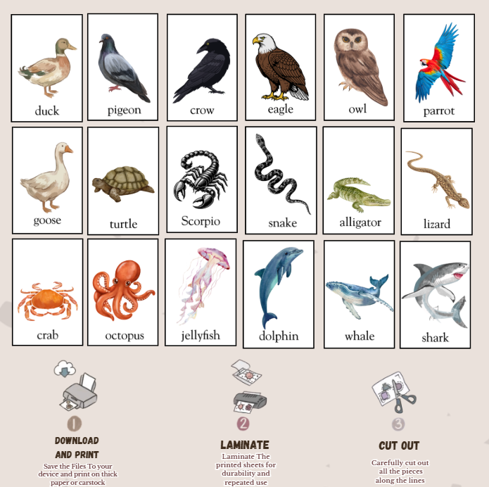 animals flashcards-kitsforsmartkids