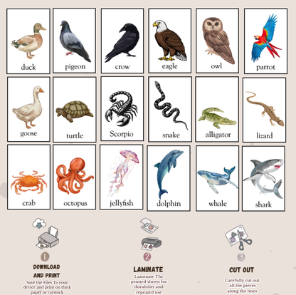 animals flashcards-kitsforsmartkids