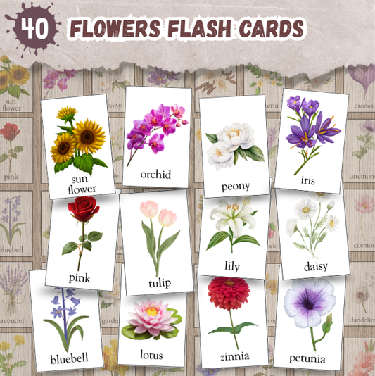 flowers flash cards-kitsforsmartkids